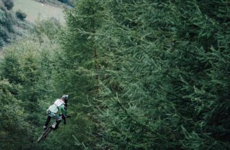 Success sichtbar ✅